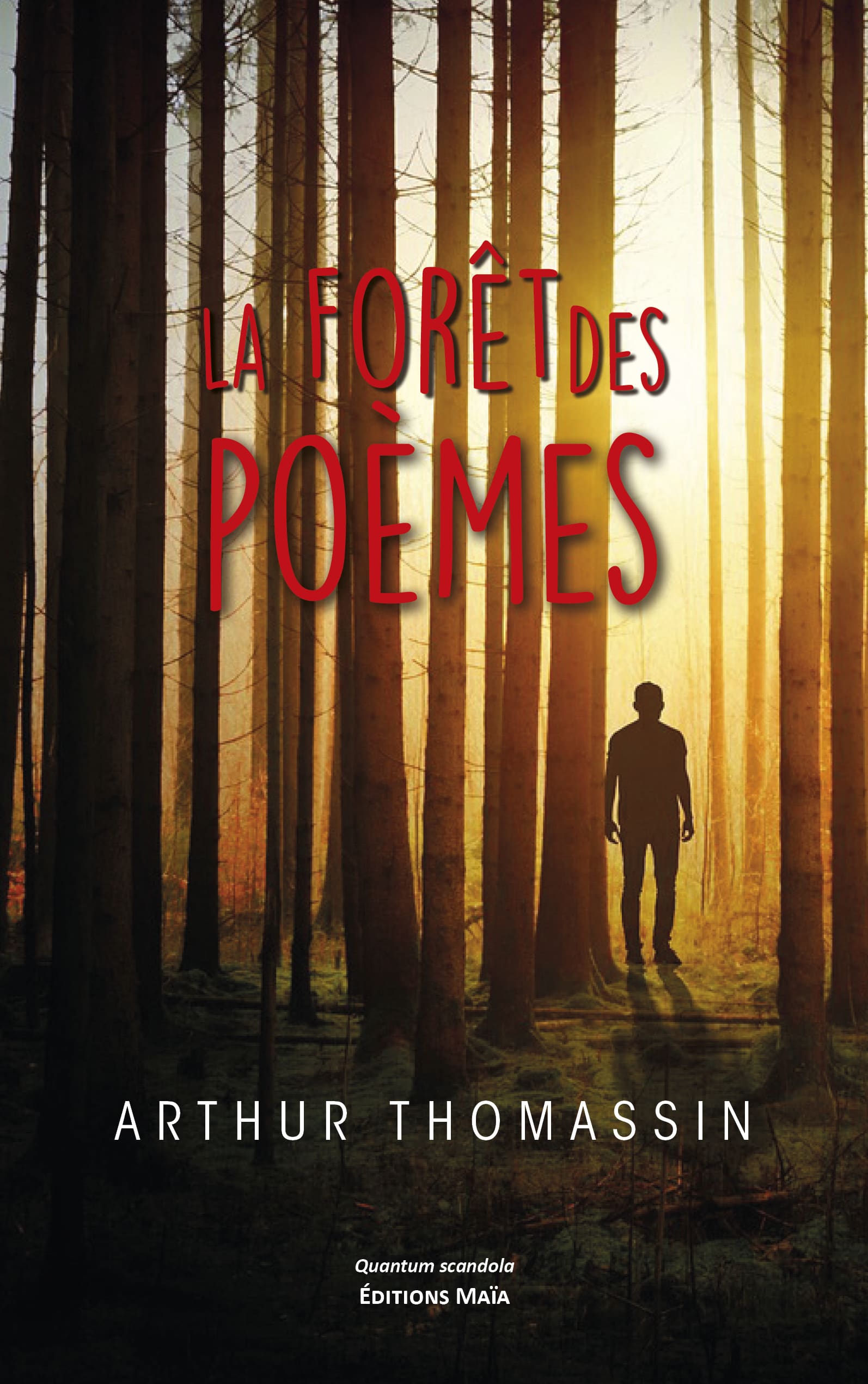 Arthur Thomassin La Forêt des poèmes