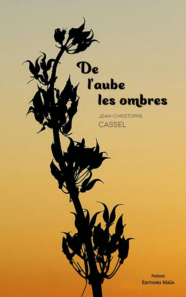 Jean-Christophe Cassel, De l'aube les ombres