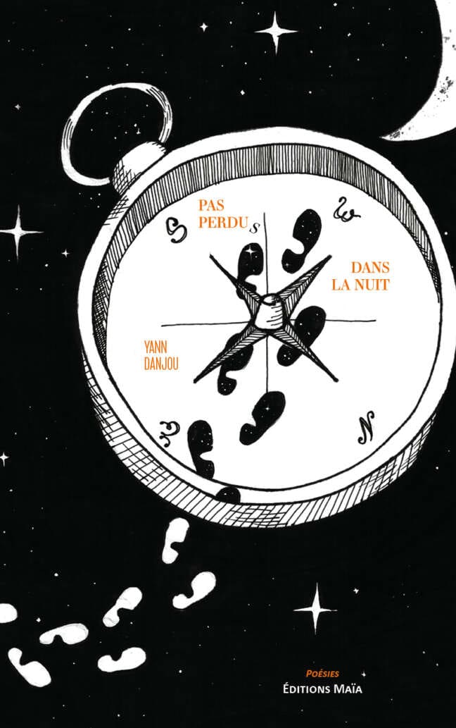 Yann Danjou, Pas perdus dans la nuit