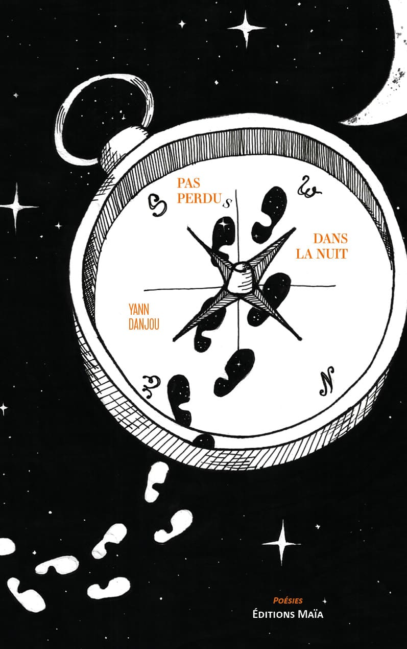 Yann Danjou, Pas perdus dans la nuit