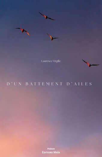 Laurence Virgille, D’un battement d’ailes