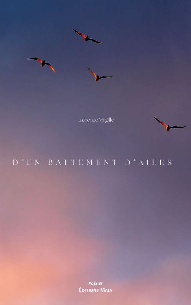 Laurence Virgille, D’un battement d’ailes