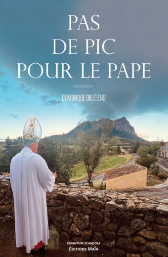 Dominique Dieltiens, Pas de pic pour le pape