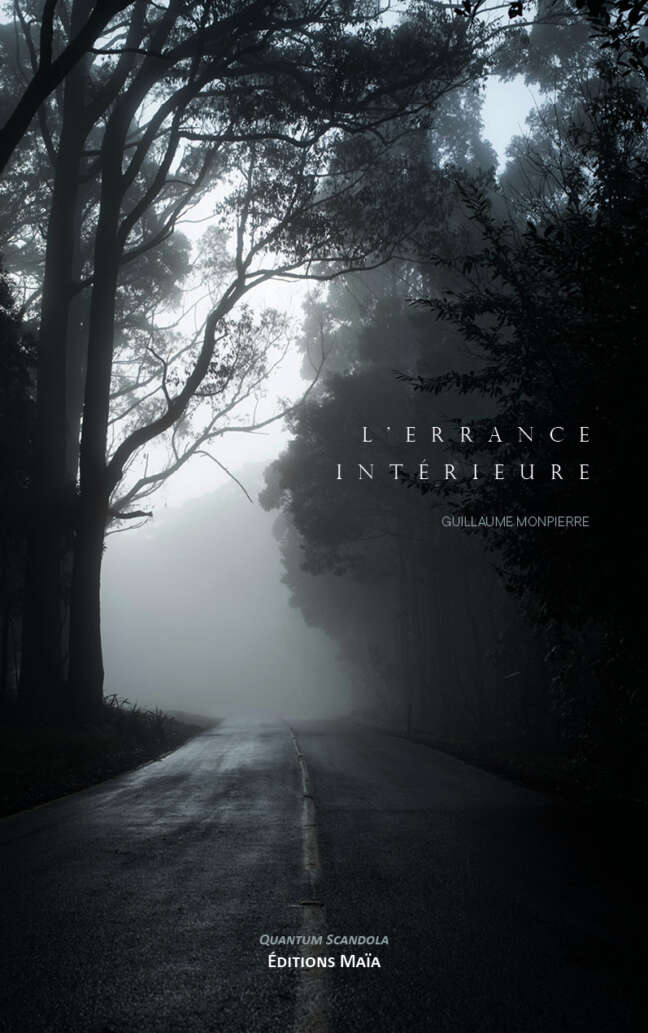 Guillaume Monpierre, L’errance intérieure