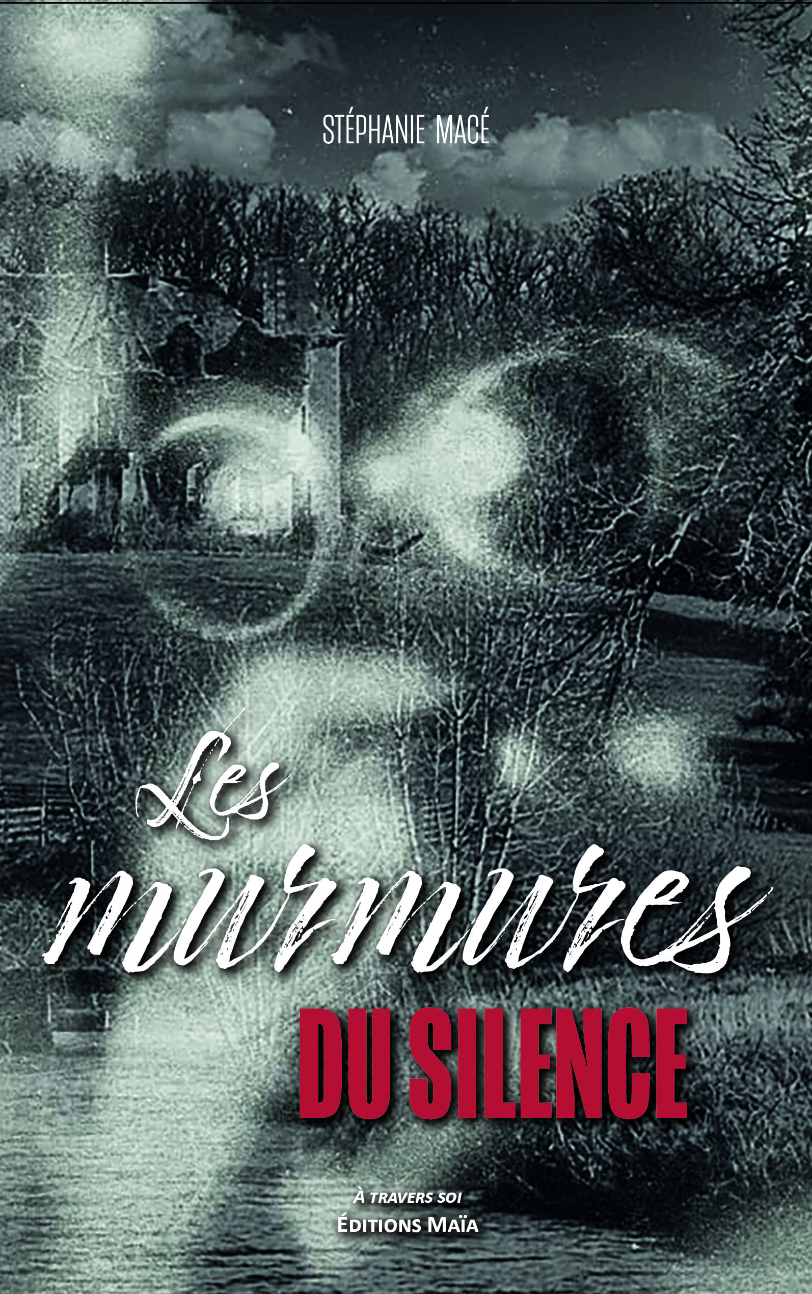 Stéphanie Macé, Les murmures du silence