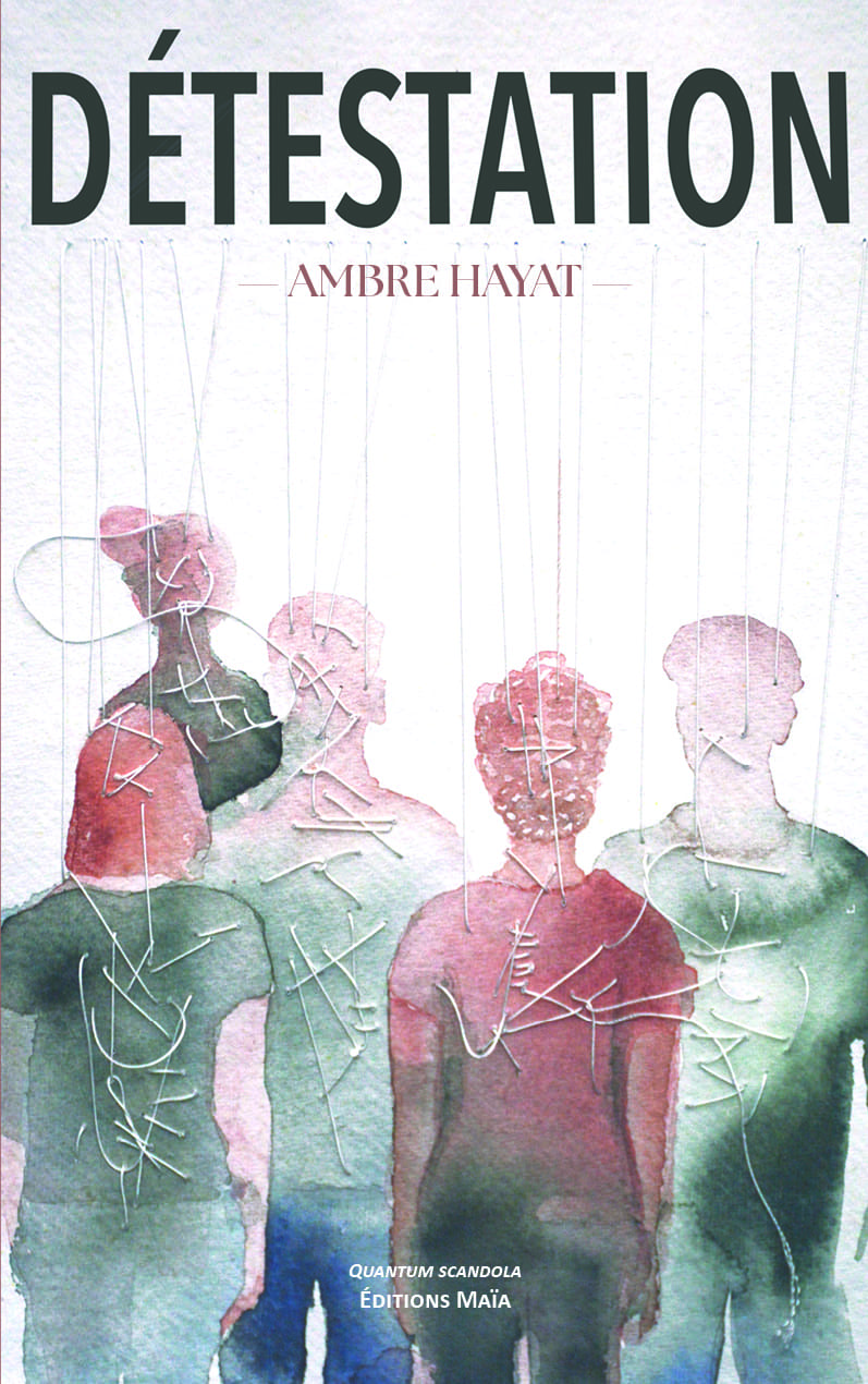 Ambre Hayat, Détestation