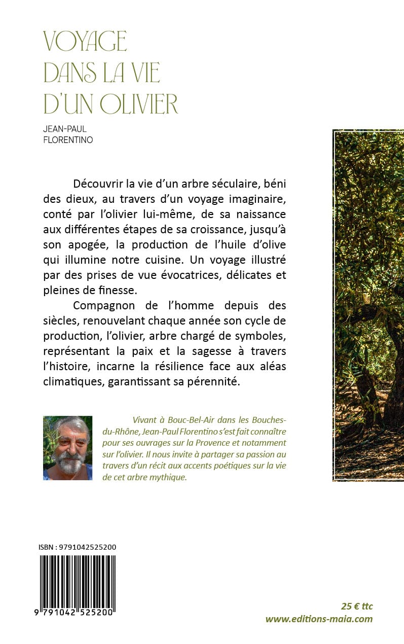 Voyage dans la vie d’un olivier – Image 2