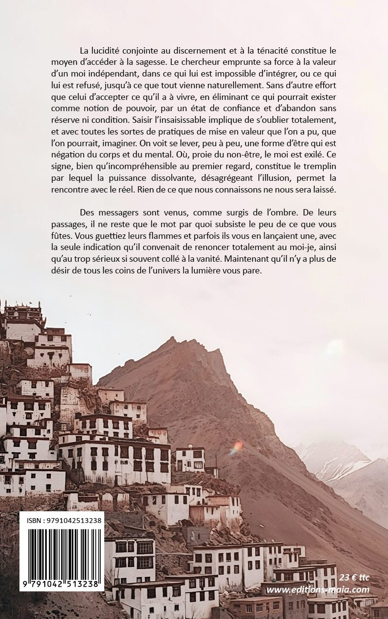 Swami Saî Amritha, Les portes de mon éveil