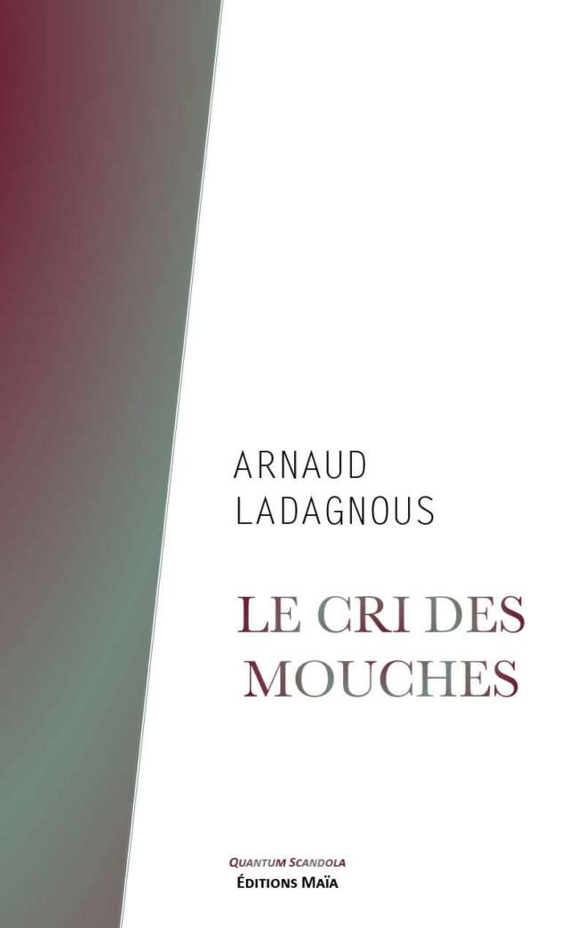 Le cri des mouches, Arnaud Ladagnous