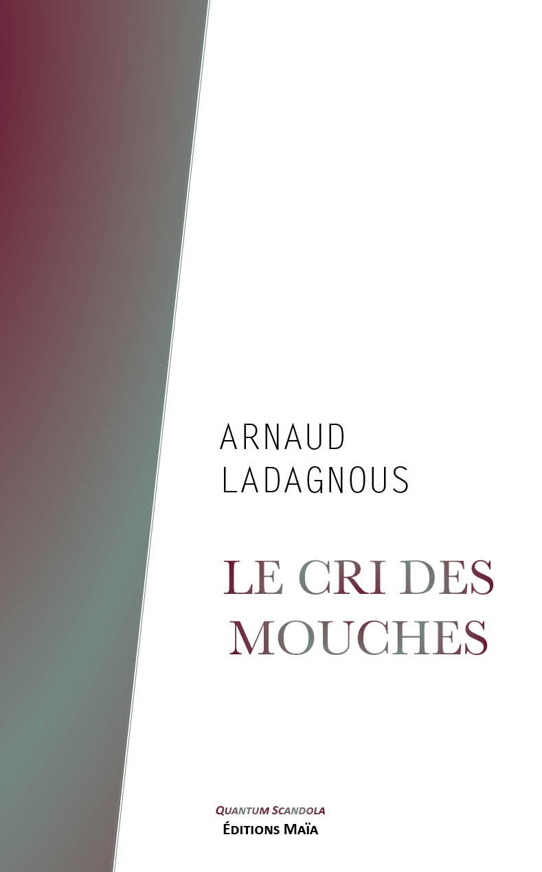 Le cri des mouches, Arnaud Ladagnous