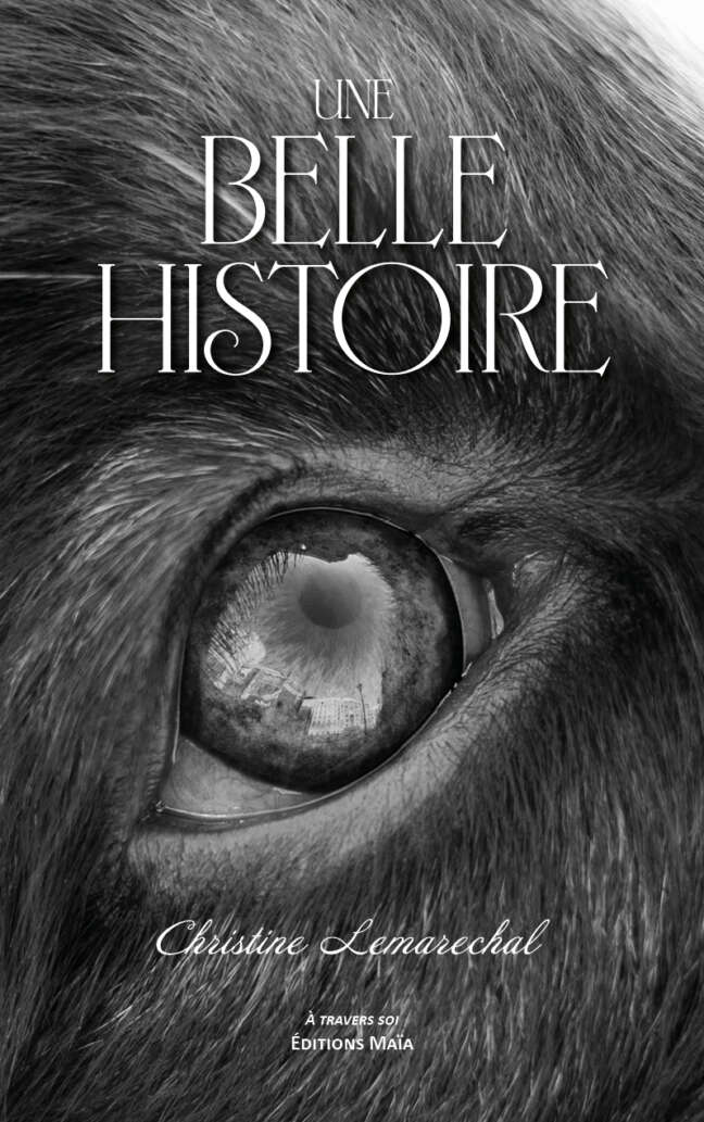 Christine Lemarechal, Une belle histoire