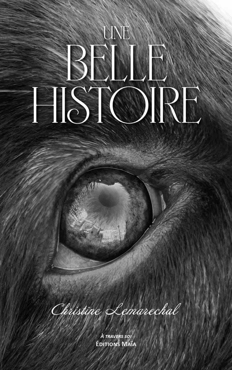 Christine Lemarechal, Une belle histoire