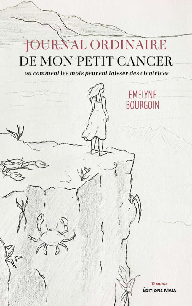 Emelyne Bourgoin, Journal ordinaire de mon petit cancer
