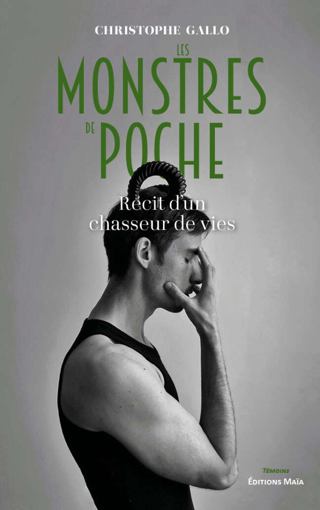 Christophe Gallo, Les monstres de poche