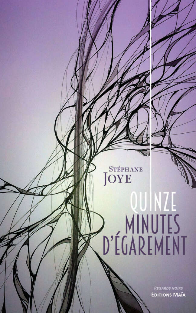 Stéphane Joye, Quinze minutes d’égarement