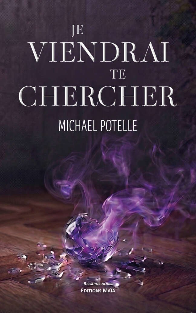 Michael Potelle, Je viendrai te chercher